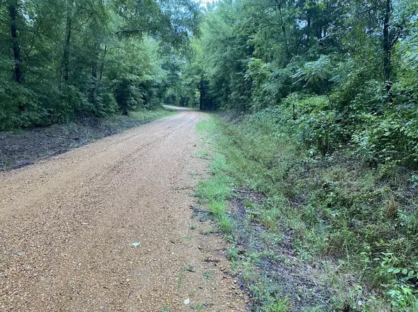 Houlka, MS 38850,County Road 309