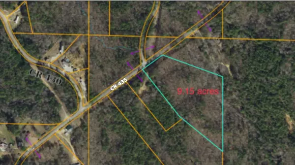 CR 435 (9.15 ac), Rienzi, MS 38865