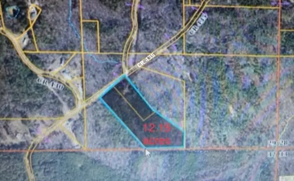 CR 435 (12.15 ac), Rienzi, MS 38865