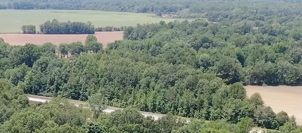 Nettleton, MS 38858,Hwy 145