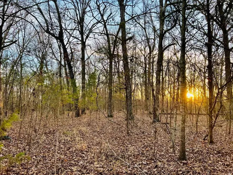 CR 6121, Baldwyn, MS 38824