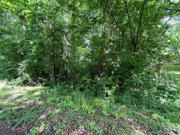 Fulton, MS 38843,(Part of) Lot #34 Virginia Dr