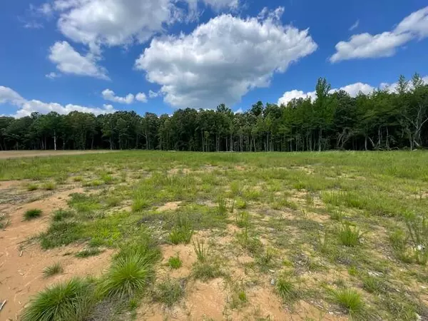 Myrtle, MS 38650,Lot 38 Lynnlee Lane