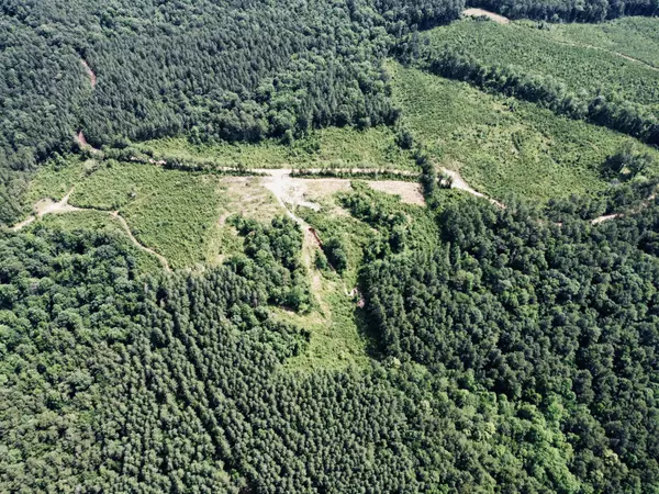 Vossburg, MS 39366,0 CR 3115 Lot 1