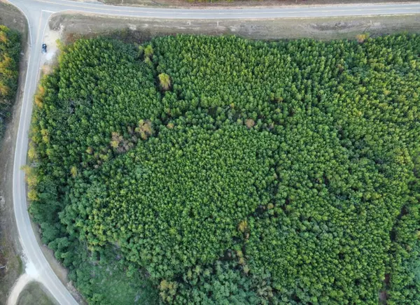 Baldwyn, MS 38824,HWY 9 Lot 3