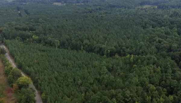 Bruce, MS 38915,CR 265