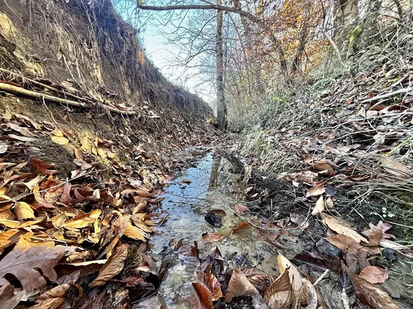 Booneville, MS 38829,CR 3340