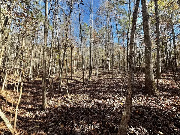 Booneville, MS 38829,CR 3340