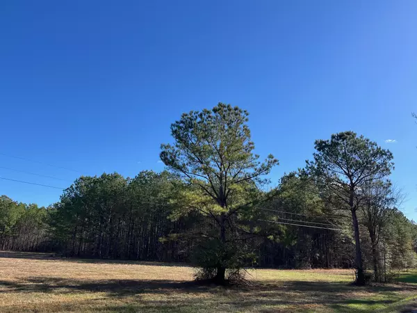 Smithville, MS 38870,Four Mile Road