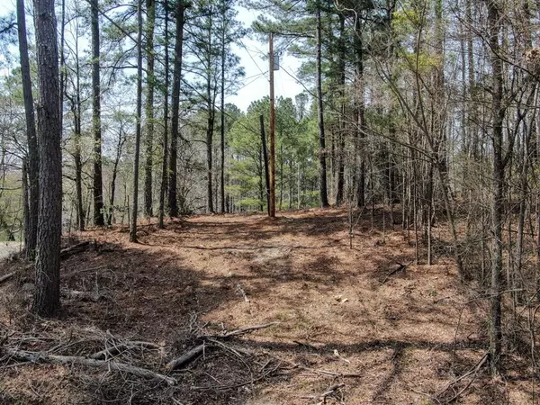 Fulton, MS 38843,Lot 156 Lake Drive, Lake Itawamba