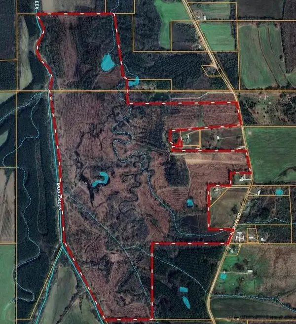 New Albany, MS 38652,Mclaughlin Rd