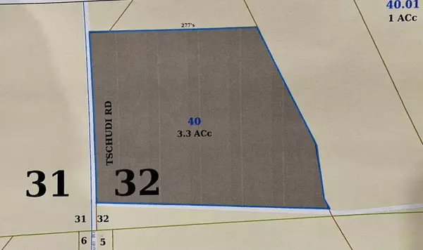 Amory, MS 38821,TSCHUDI Road