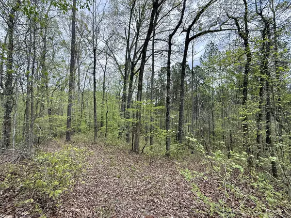 Booneville, MS 38829,75.46 ac CR 2201