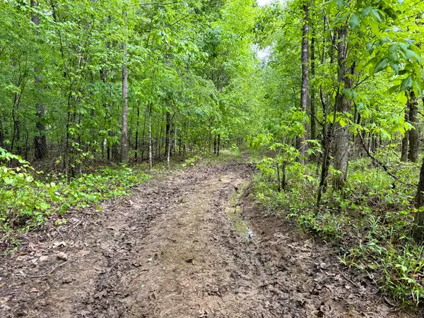 Houston, MS 38851,CR 406