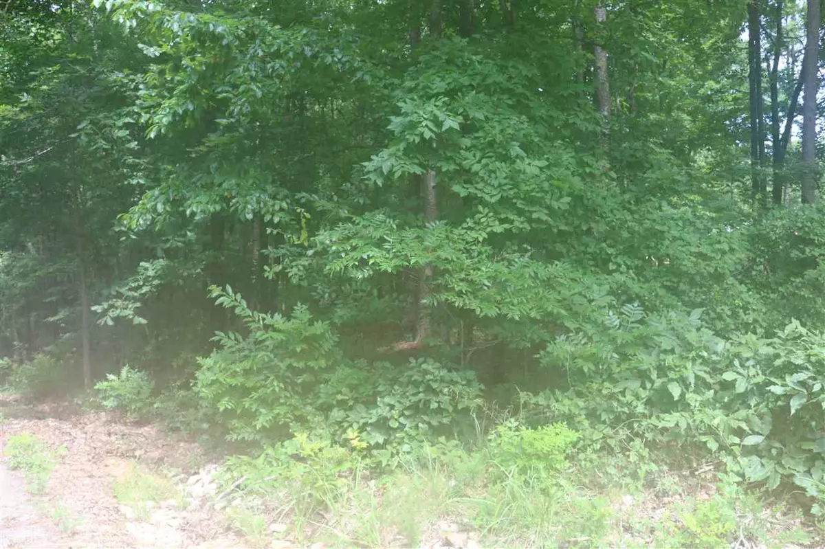 Counce, TN 38326,YMCA S MUSCATEL & YMCA LN