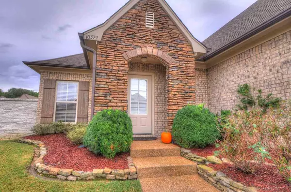 Lakeland, TN 38002,10379 LOBLOLLY VIEW LN