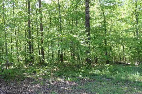 Counce, TN 38326,LOT 8 SHANNON LN