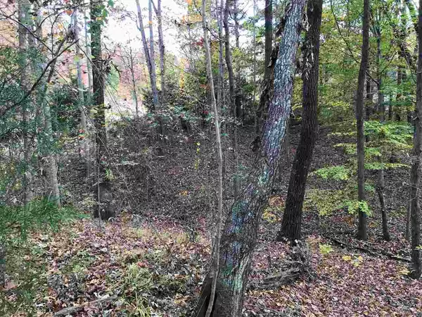 Selmer, TN 38375,20 COUNTRY WOODS DR