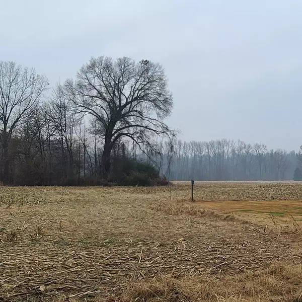BRUNSWICK RD, Brunswick, TN 38002