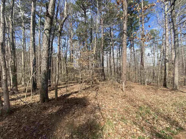 Iuka, MS 38852,LOT 51 CR 378 RD