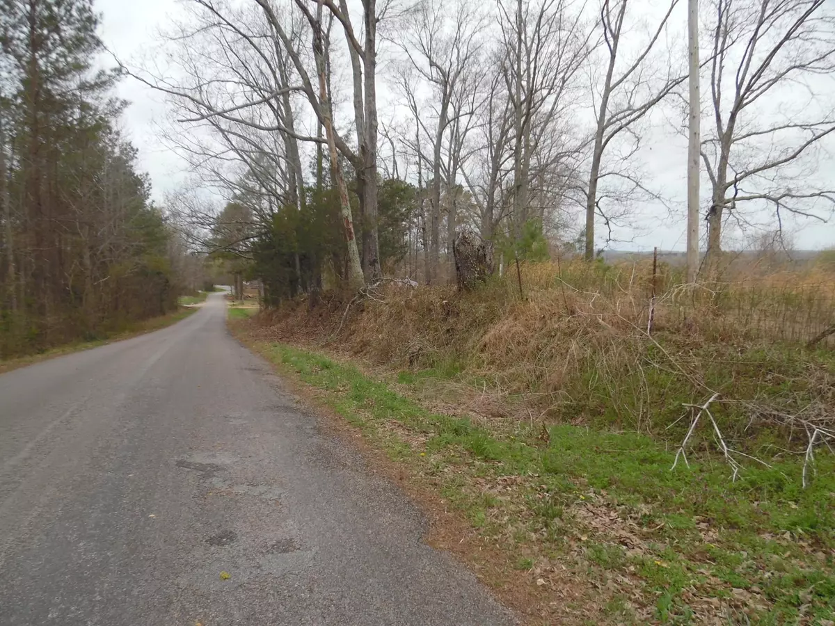 Adamsville, TN 38310,00 OLD UNION RD