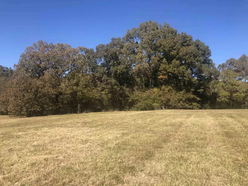 LOT 1 JOHNSON DR, Rossville, TN 38066