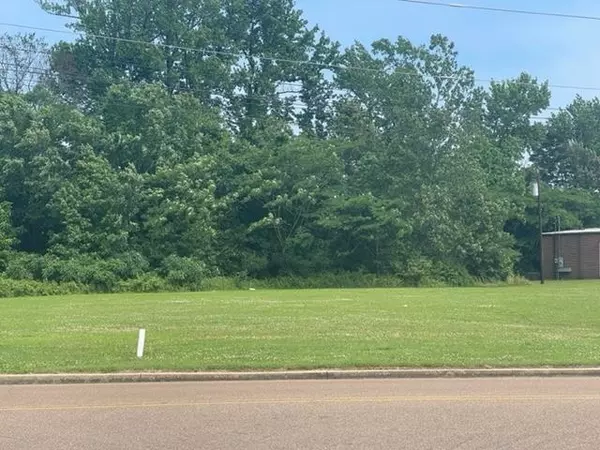 Atoka, TN 38004,LOT 28 MCLAUGHLN DR