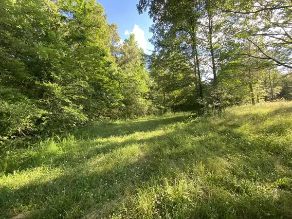 Unincorporated, TN 38068,17.09 ACRES LAGRANGE RD