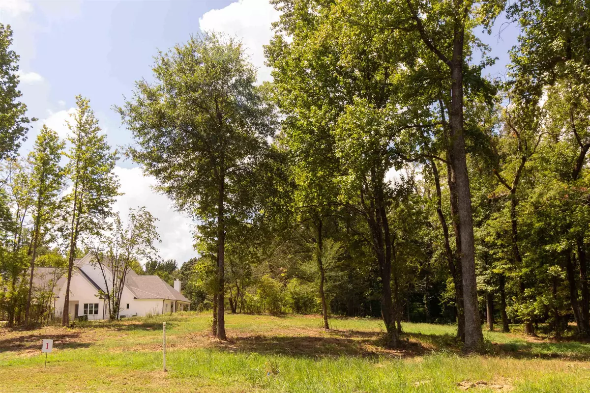 Piperton, TN 38017,50 CROWN VISTA LN