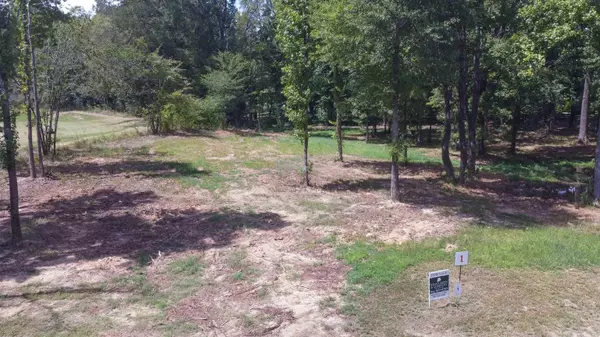 Piperton, TN 38017,50 CROWN VISTA LN