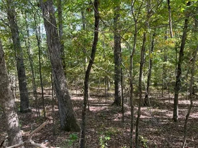 35 OLD ROGER RD #WR35, Middleton, TN 38052