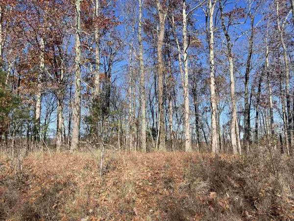 YOUNGER HOLLOW CEMETERY RD, Clifton, TN 38425