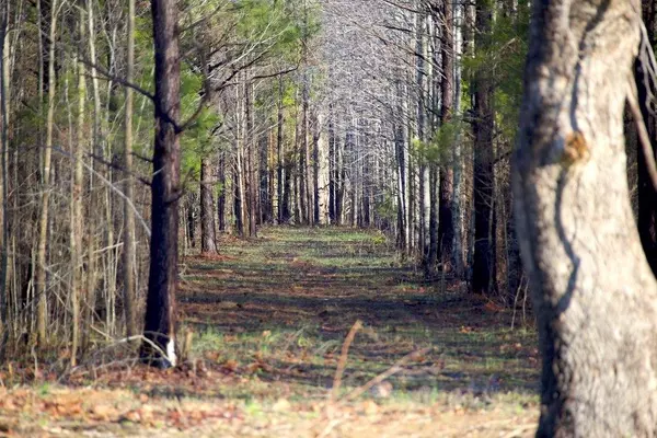 7701 57 HWY, Saulsbury, TN 38067