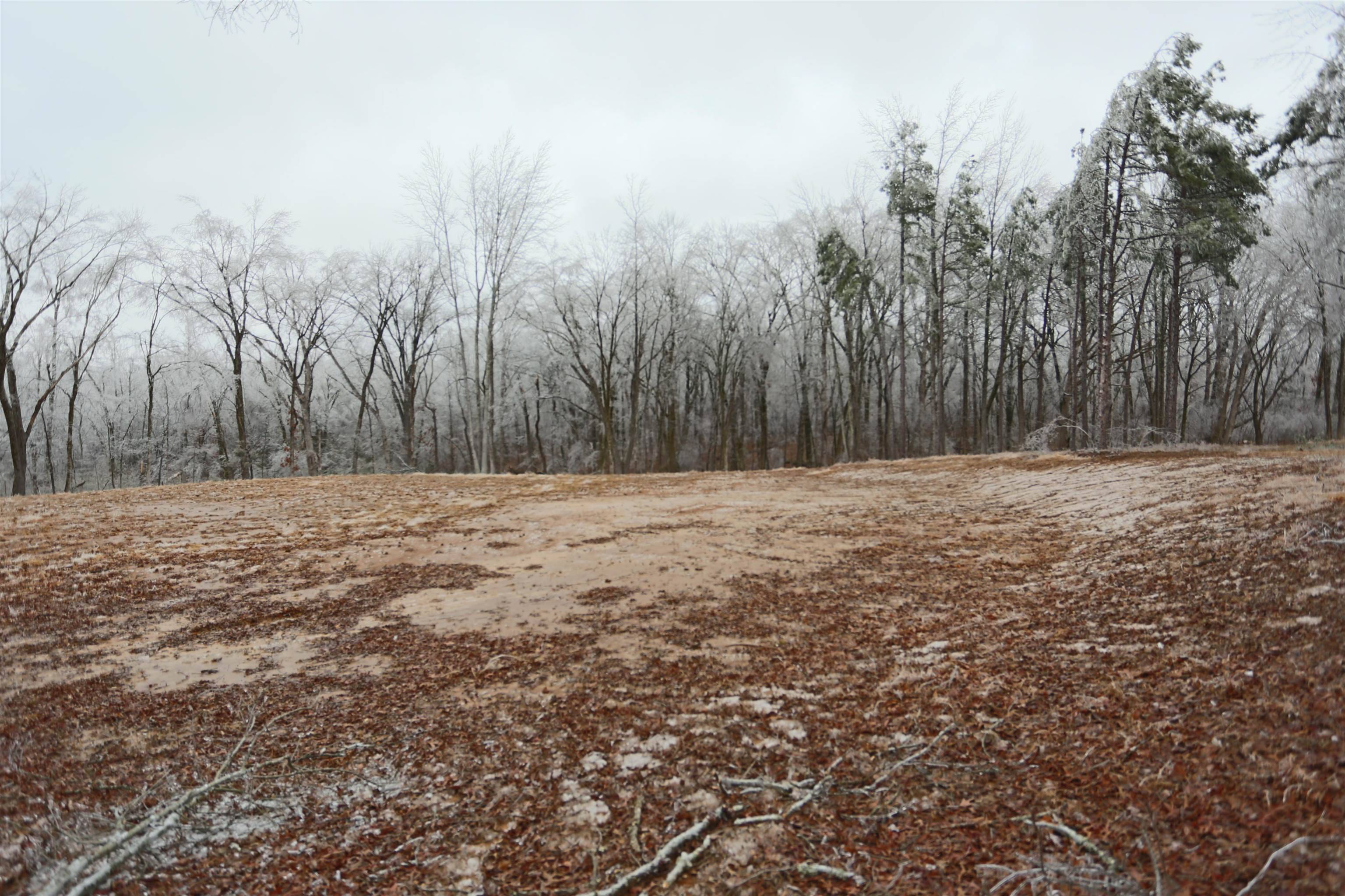 4720 SEED TICK RD, Lakeland, TN 38002