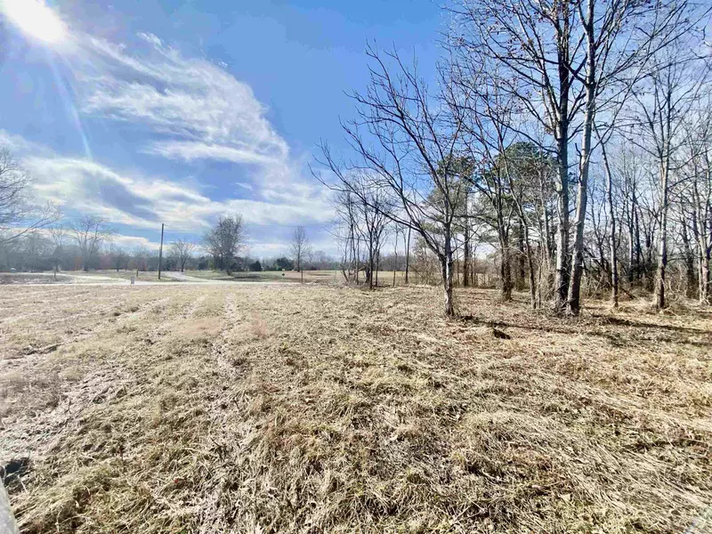 +/-15 ACRES WATKINS DR, Moscow, TN 38057