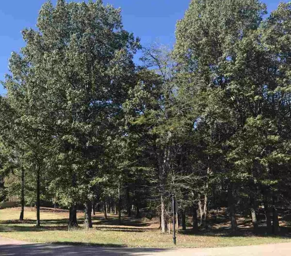 Oakland, TN 38002,60 LANCASTER DR