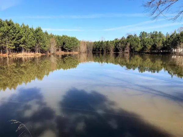 Hornsby, TN 38044,290 LITTLE HATCHIE LOOP