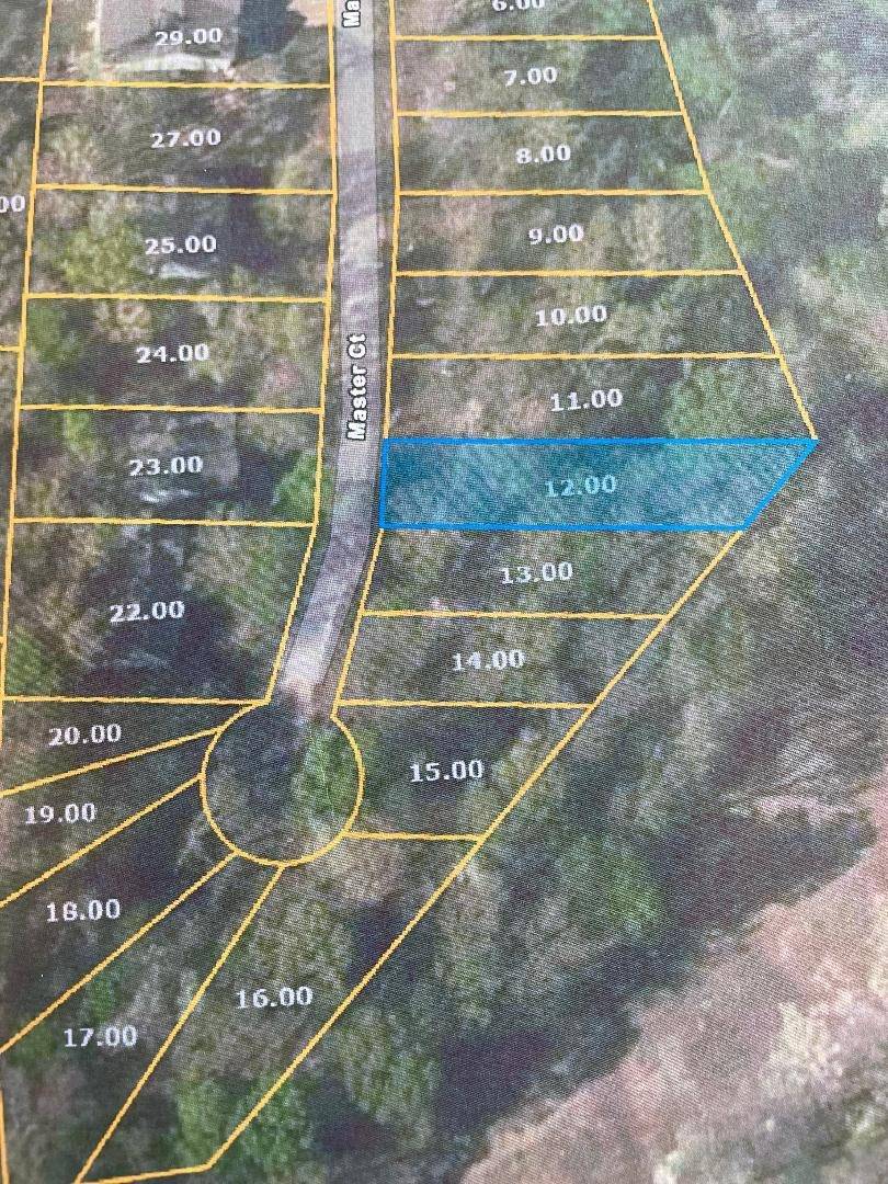 Counce, TN 38326,0 MASTERS CT