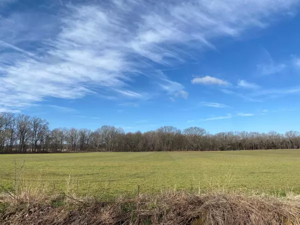 Unincorporated, TN 38049,41.19 ACRES PORTER RD