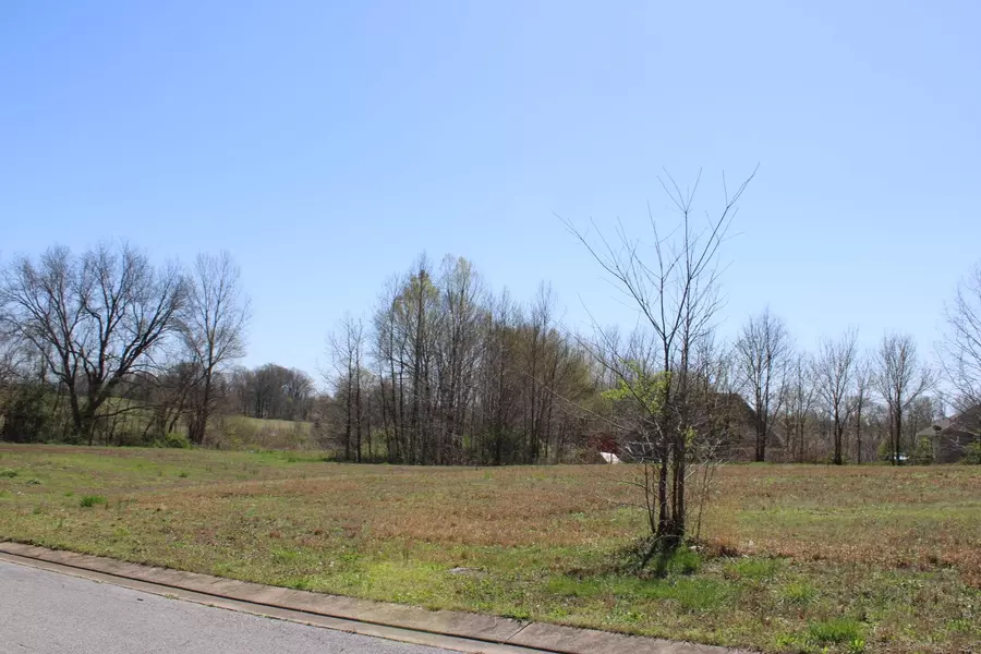 LOT 10 STONE BROOK CV, Ripley, TN 38063