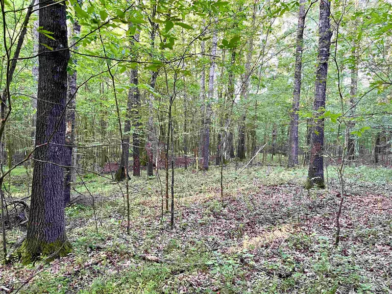 14.45 HAYSLETT RD, Piperton, TN 38017