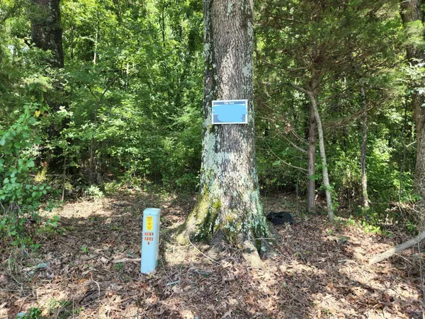 Olive Branch, TN 38654,8626 LAMAR RD