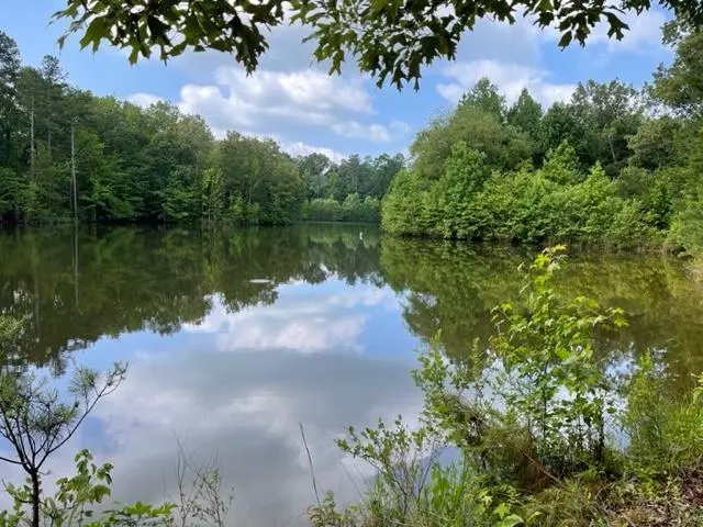 12435 POWELL CHAPEL RD, Hornsby, TN 38044