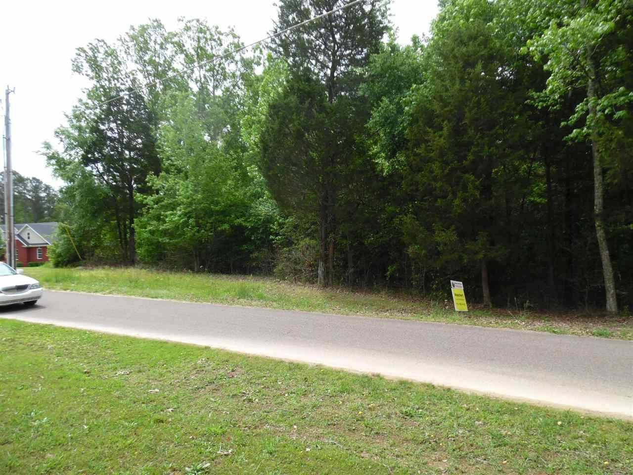 Savannah, TN 38372,16 SUZY CV