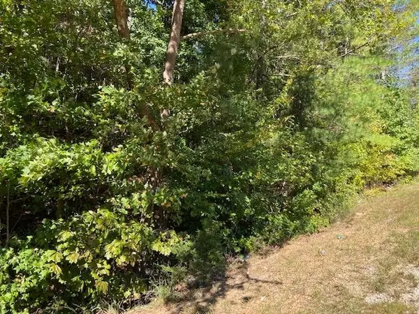 Shiloh, TN 38376,00 142 HWY