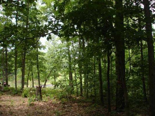 LOT# 154 SANDPIPER PT, Counce, TN 38326