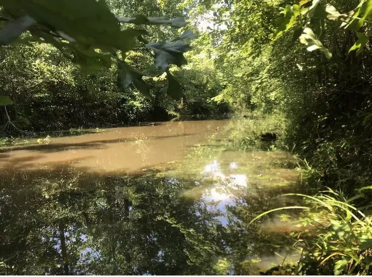 Acton, TN 38357,0 DAVIS YANCY RD