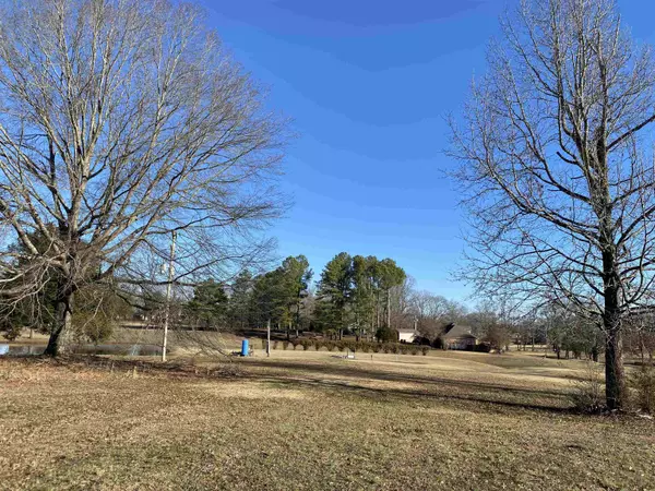 Adamsville, TN 38310,0 GRANDVIEW CIR