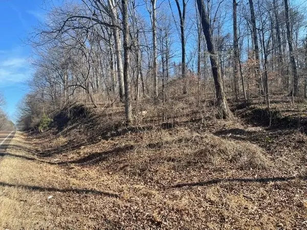 Bolivar, TN 38008,100 HWY
