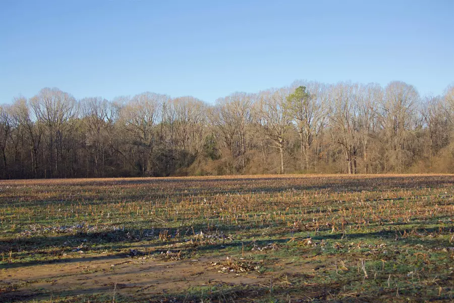 7000 VAN BUREN RD, Hickory Valley, TN 38042